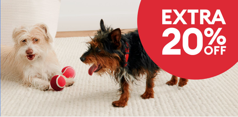 Two dogs playing with a toy with the words "Extra 20% off" on the top right corner.