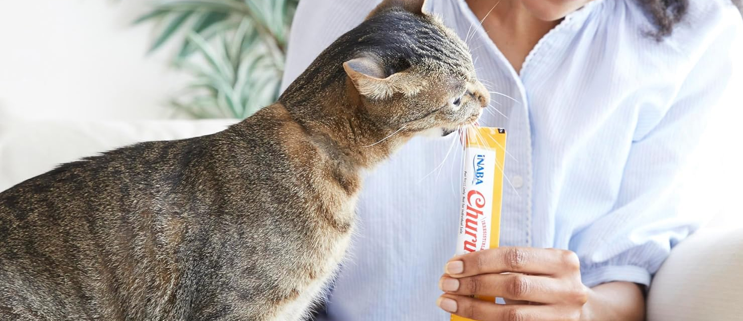 Save 46% Off the Popular Churu Cat Treats on Amazon Canada!
